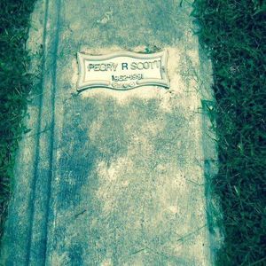 Meet your Posher, Percy