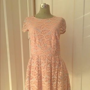 Pink and Blue Open-Back Lace Babydoll