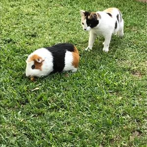 Meet your Posher, Cassidy