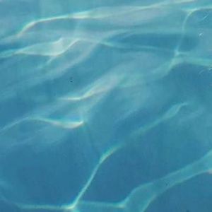 Meet your Posher, Lynette