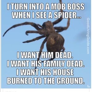 Meet your Posher, Latoya