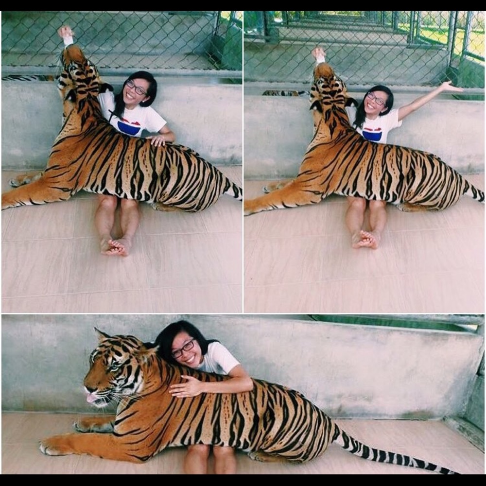 💎Meet Your Seller!💎