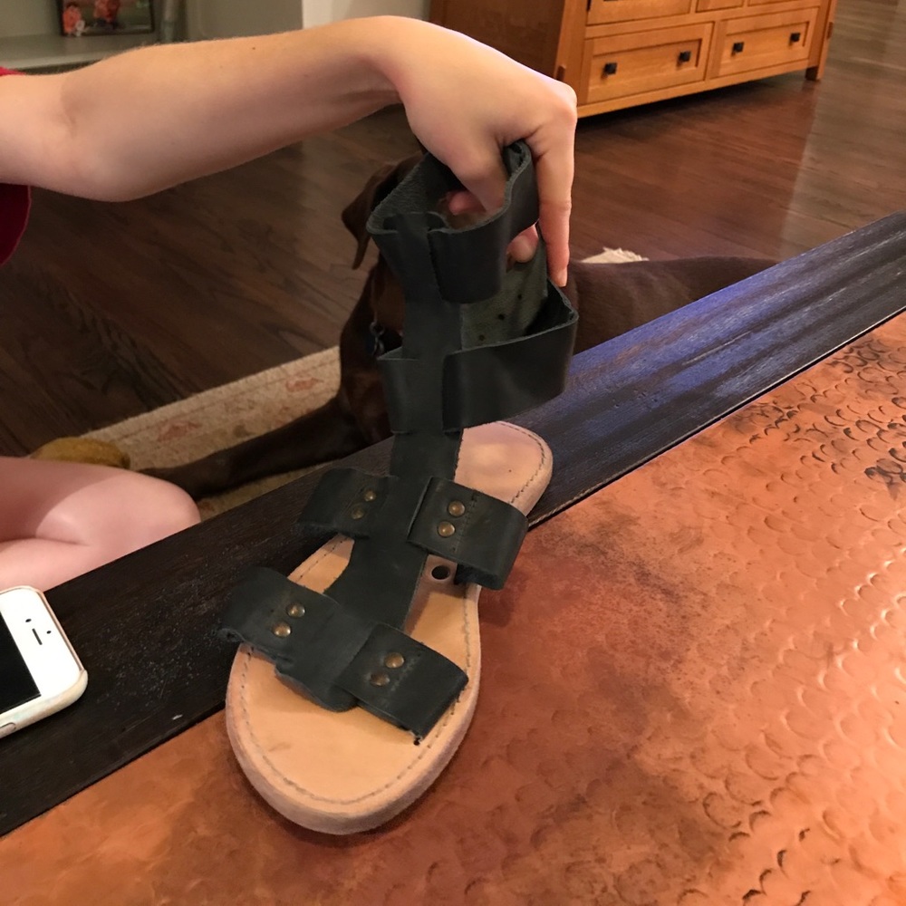 Free people gladiator sandals