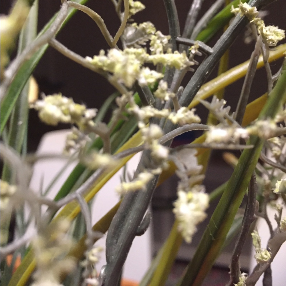 Meet your Posher, Snezana