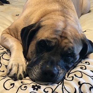 Meet your Posher, Beth