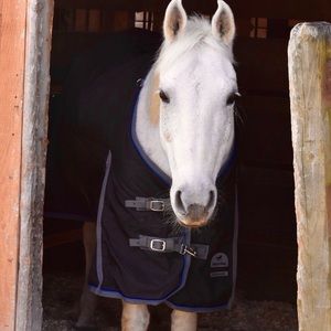 Meet your Posher, Tamara