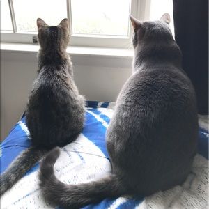 Meet your Posher, Jenn