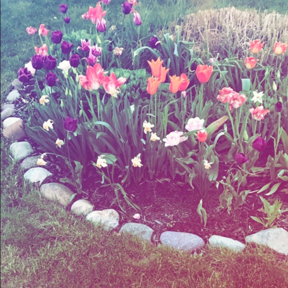 Meet your Posher, Elisabeth