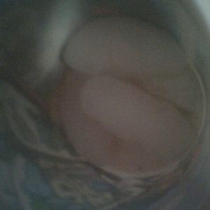 Meet your Posher, Quinton