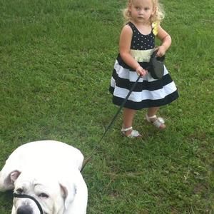 Meet your Posher, Tony