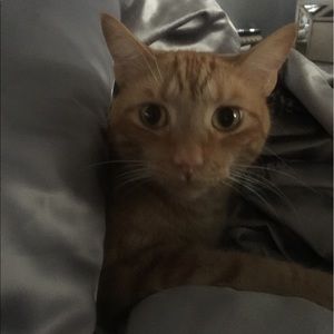 Meet your Posher, Jamal