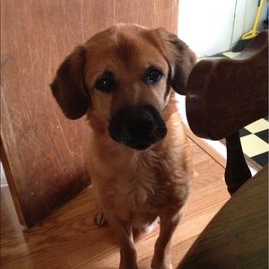 Meet your Posher, Edgar