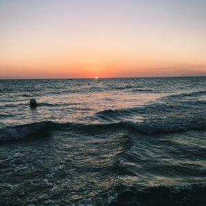 Meet your Posher, Paige