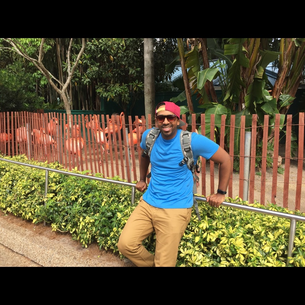 Meet your Posher, Willis