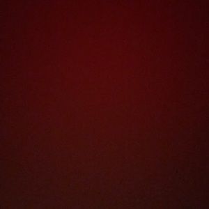 Meet your Posher, Luis