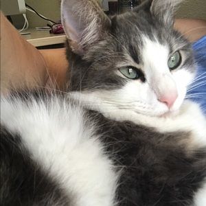 Meet your Posher, Kim