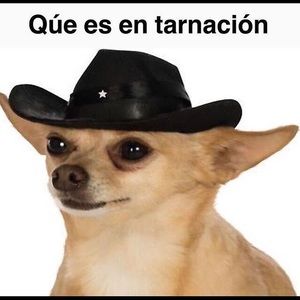 Meet your Posher, Shawn