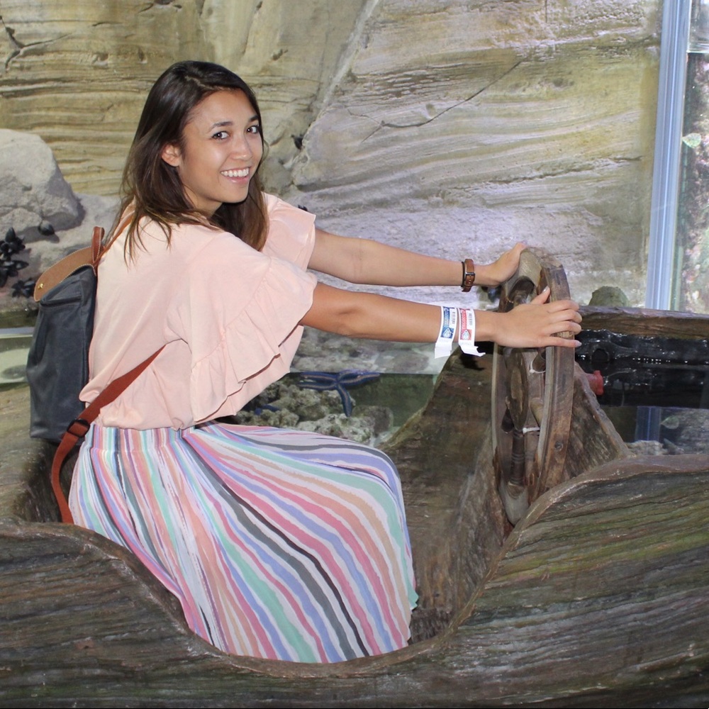 Zara pleated side slit rainbow midi skirt