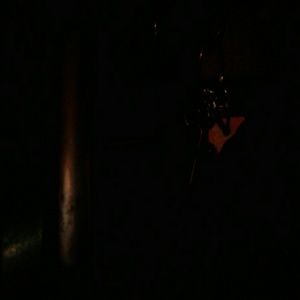 Meet your Posher, Bridgette