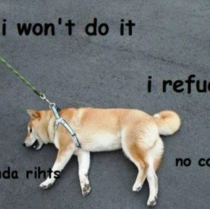 Meet your Posher, Jeffrey