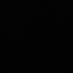 Meet your Posher, Sydnee