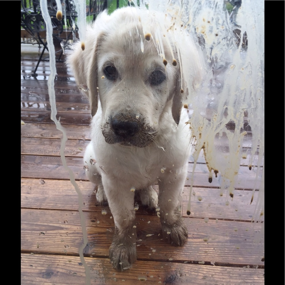 Meet your Posher, Kathleen