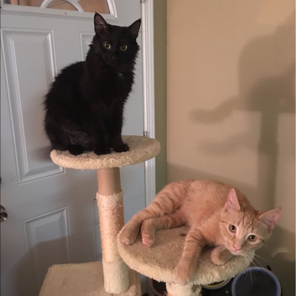 Meet your Posher, Wes