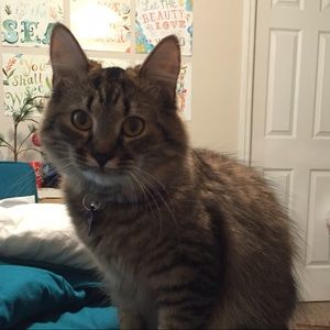 Meet your Posher, Claire