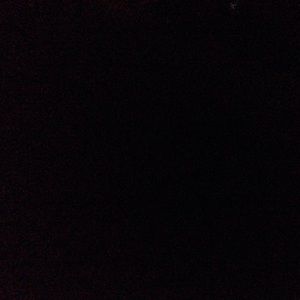 Meet your Posher, Peyton