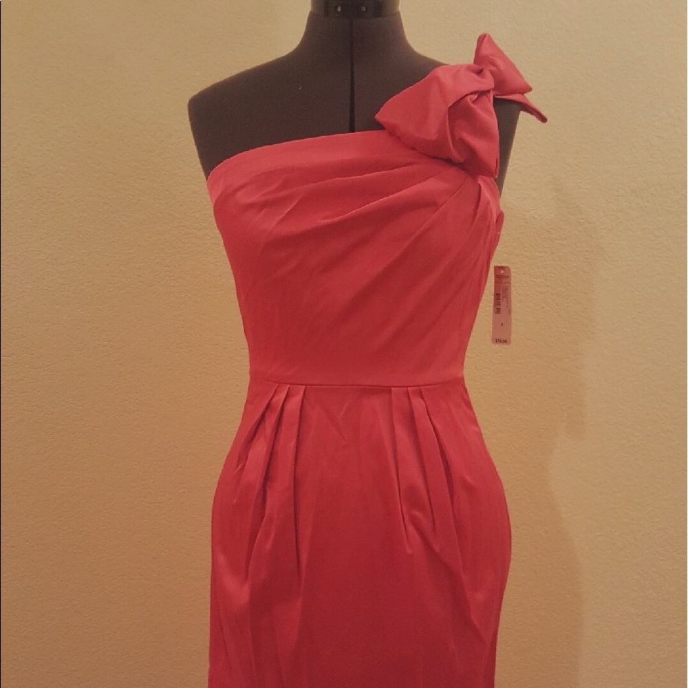 Pink Dress