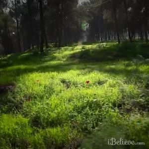 Meet your Posher, Kay