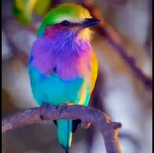 Meet your Posher, Jenny