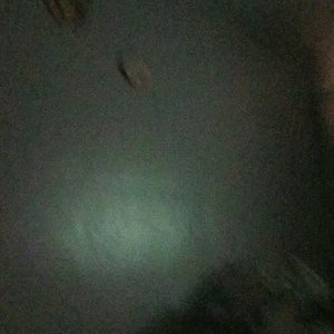 Meet your Posher, Eva