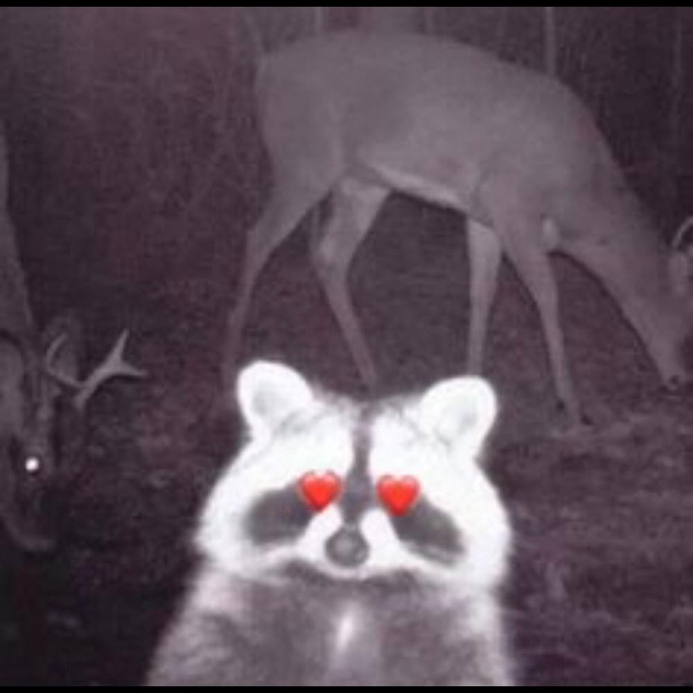 Meet your Posher, Maggie