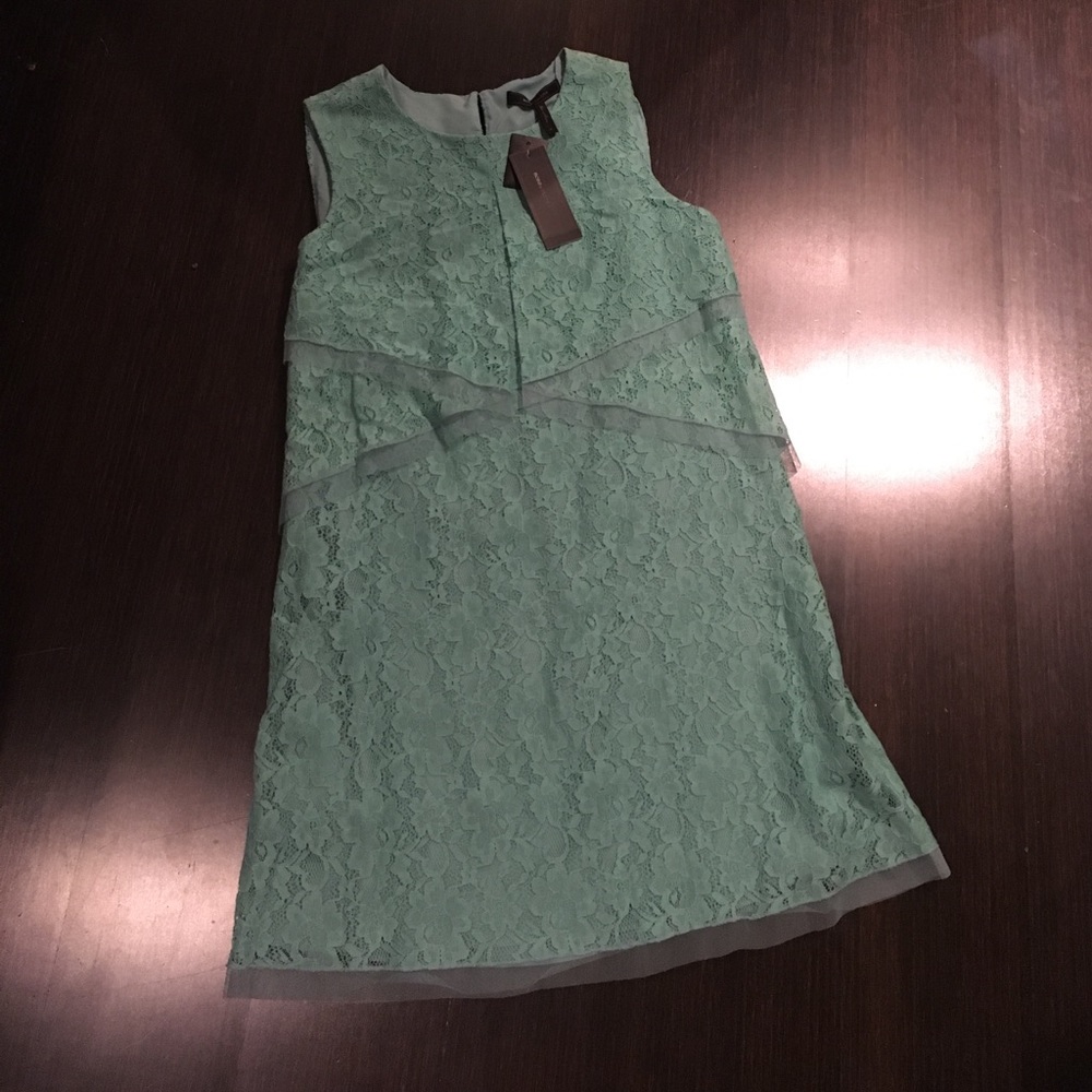 Bcbgmaxazria brand new lace dress
