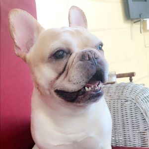 Meet your Posher, Julia