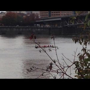 Meet your Posher, Bethann