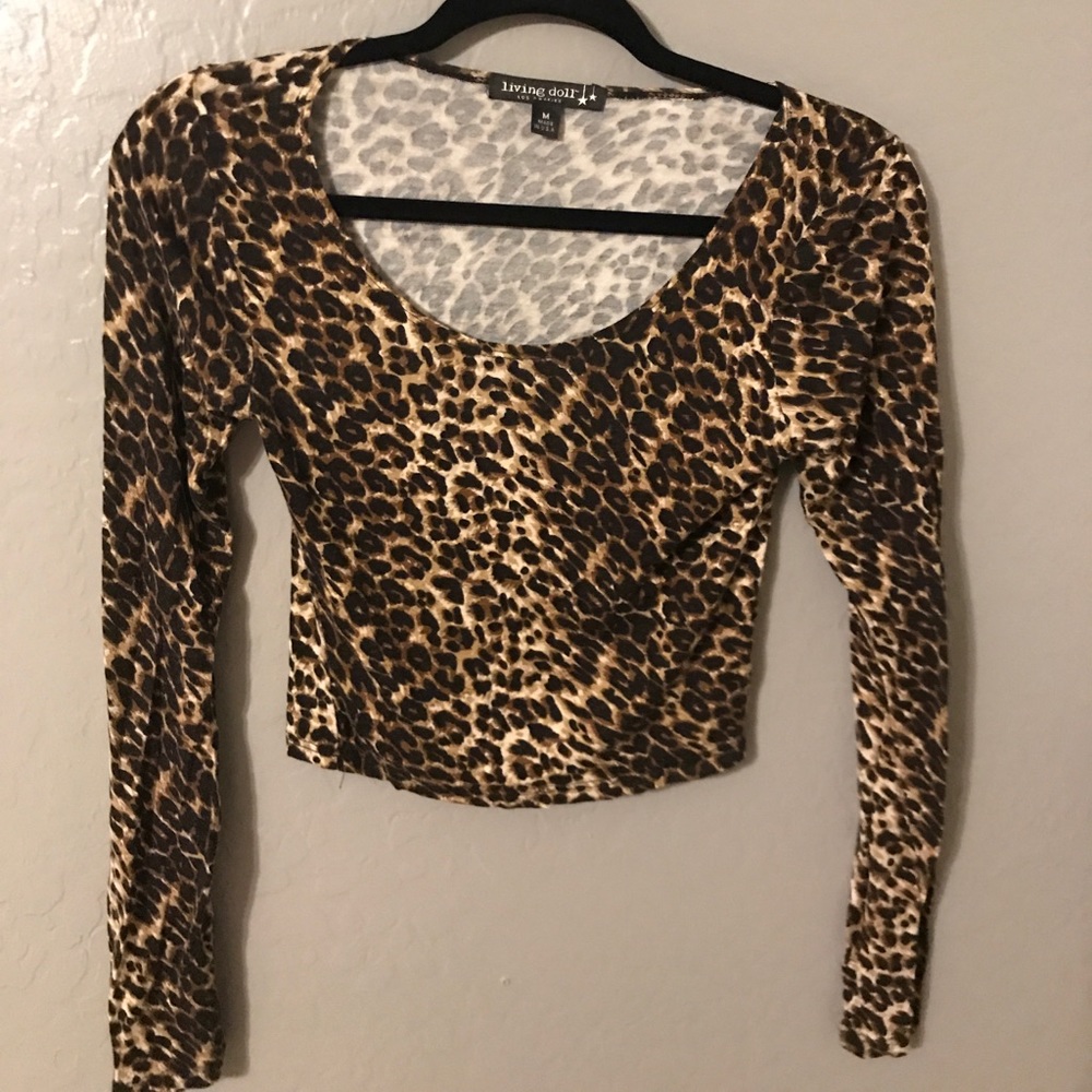 Leopard print long sleeve crop top