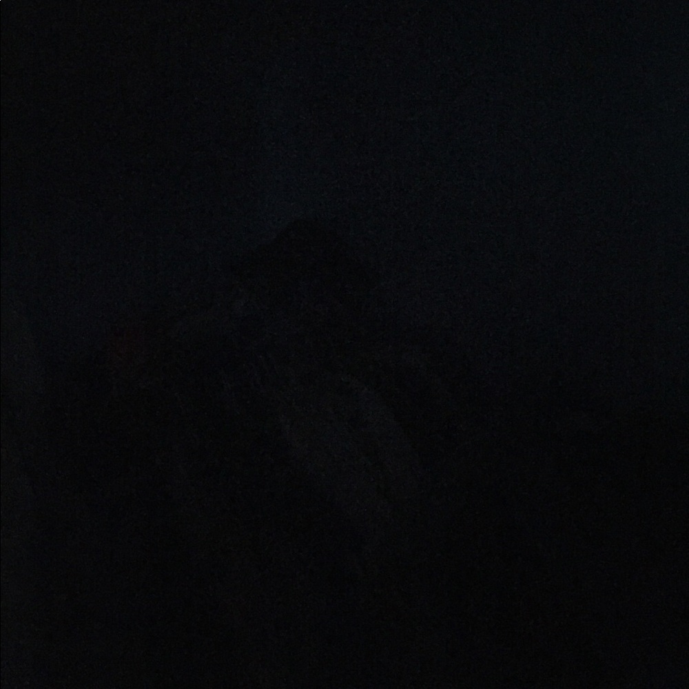 Meet your Posher, Daisha