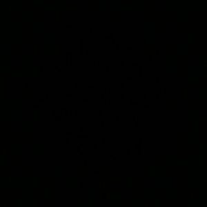 Meet your Posher, Sal