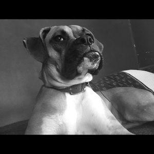 Meet your Posher, Patrick