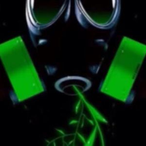 Meet your Posher, Nicholas