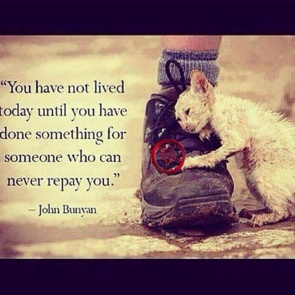 Meet your Posher, Arlene - Picture 1 of 1