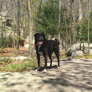 Meet your Posher, Michael