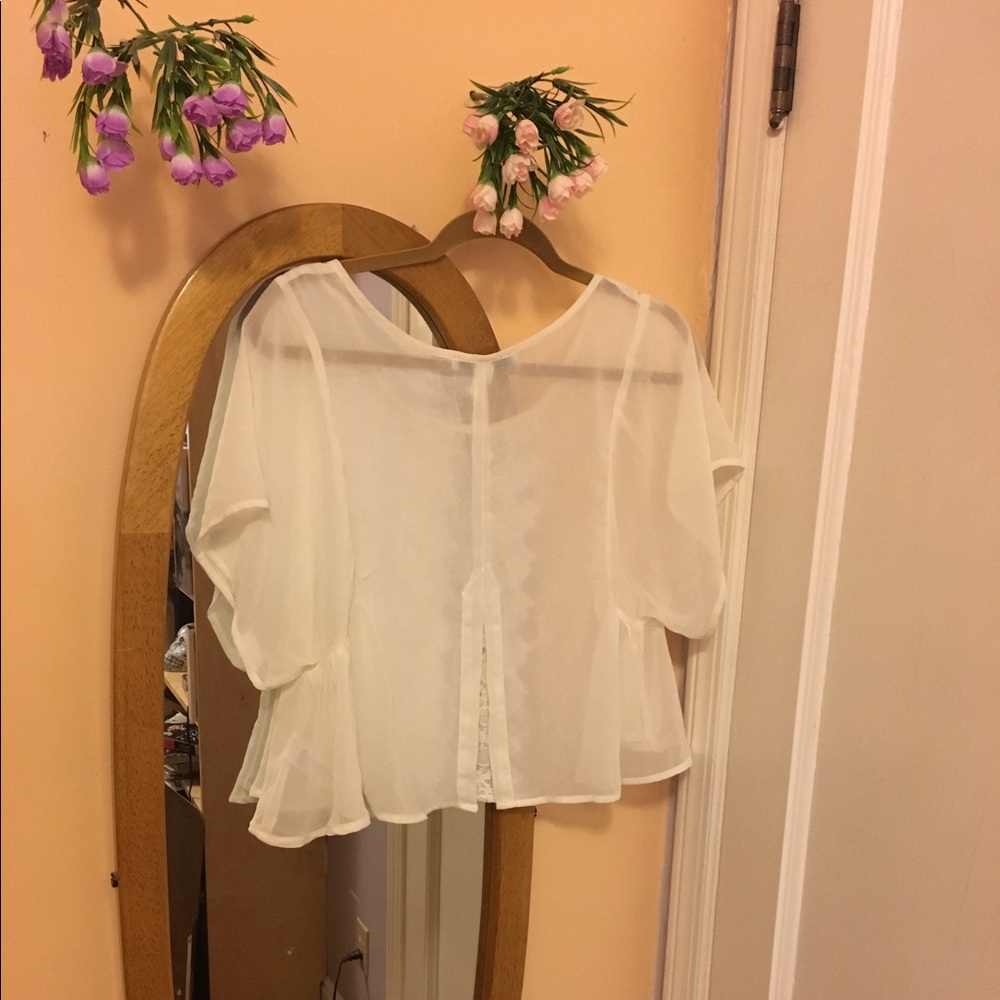 sheer flutter sleeve delicate top - Picture 2 of 4