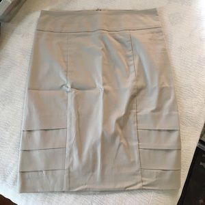 Zara Basic Skirt