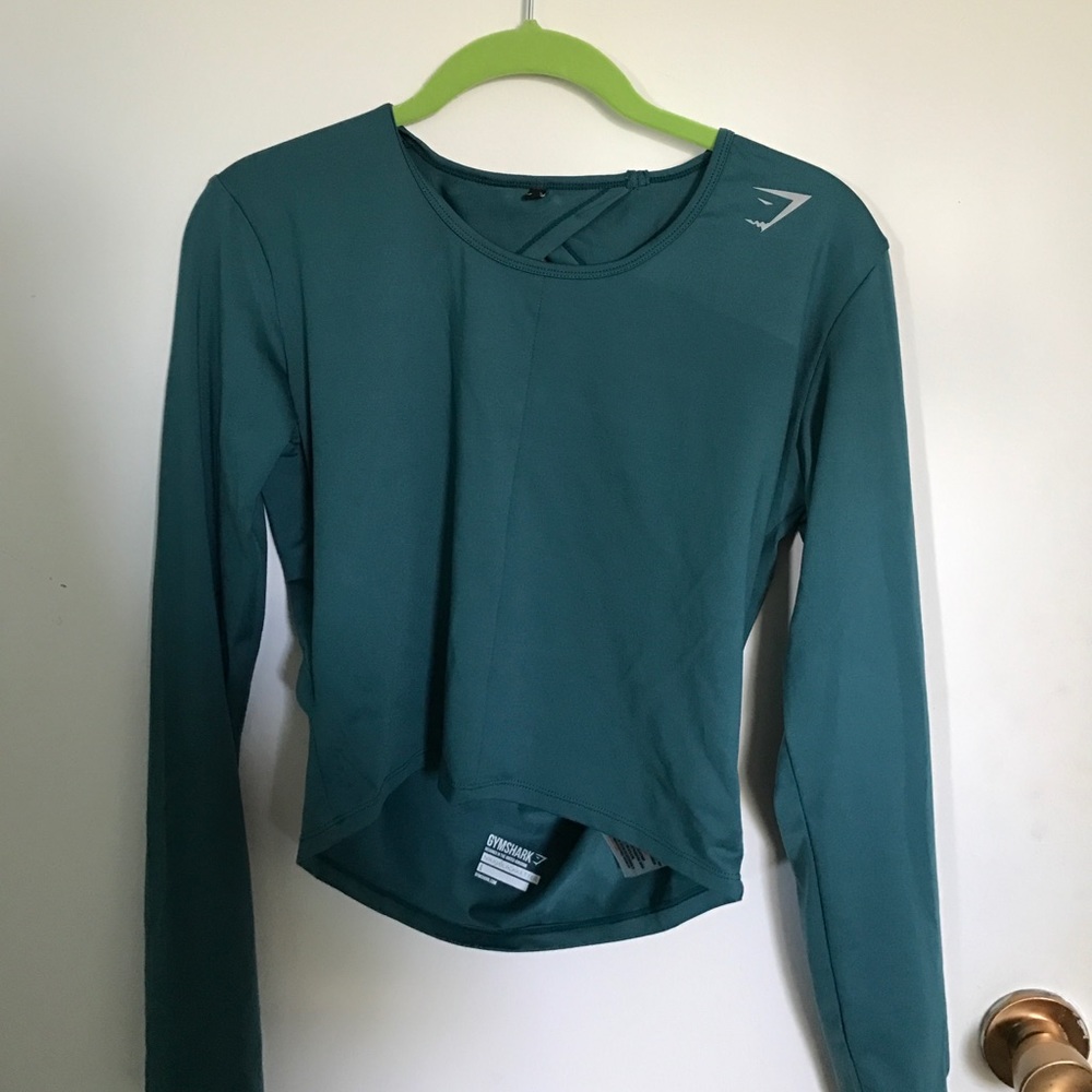 Nikki Blackketter Gym Shark Long Sleeve Crop