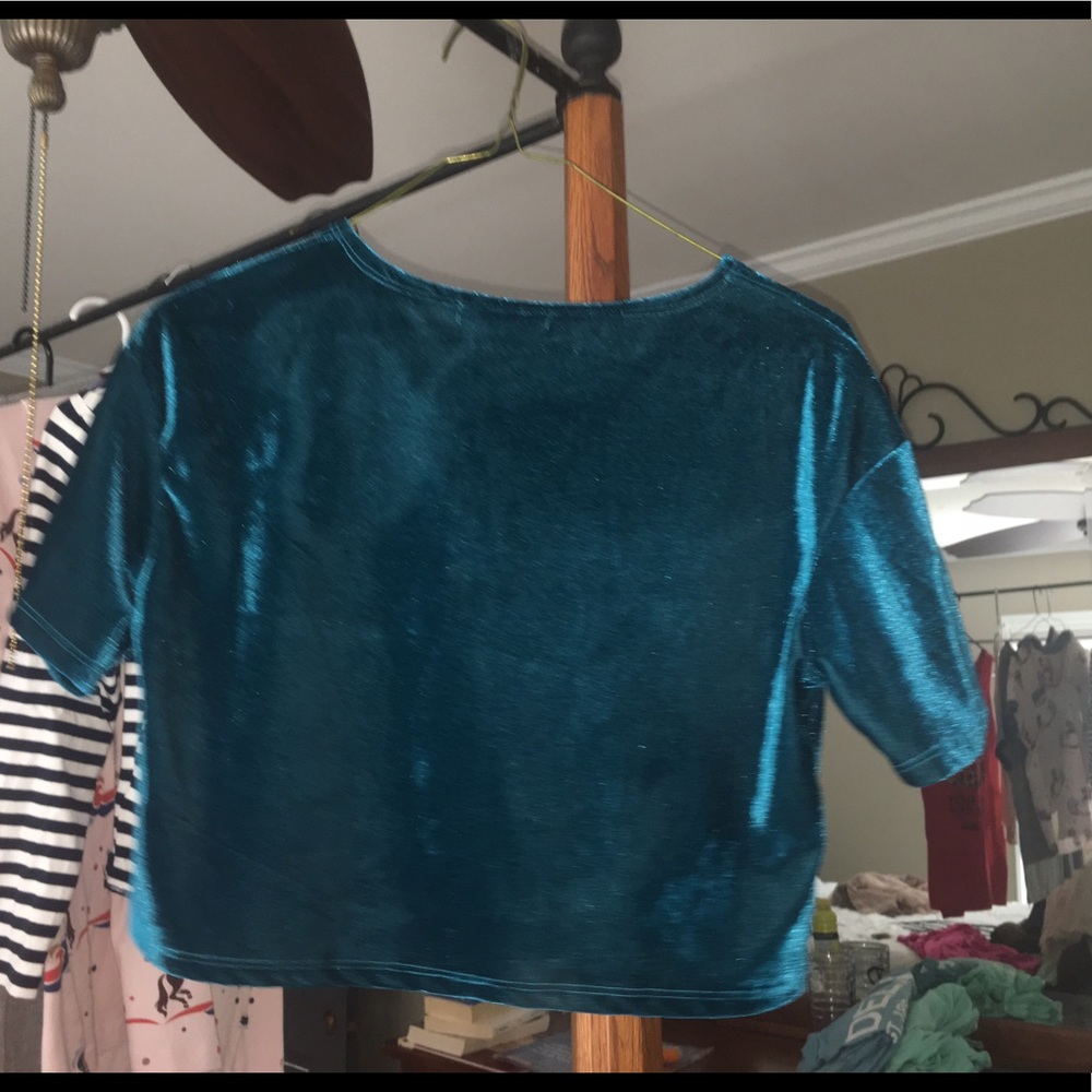 Blue velvet crop top