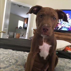 Meet your Posher, Jennifer