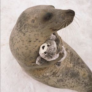 Meet your Posher, Theodis